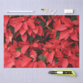 レッドポインセティアスIIクリスマスホリデーフローラ 薄葉紙 (クラフト)