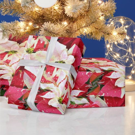 レッドポインセティアホリデーラッピング紙 ラッピングペーパー (クリスマス)