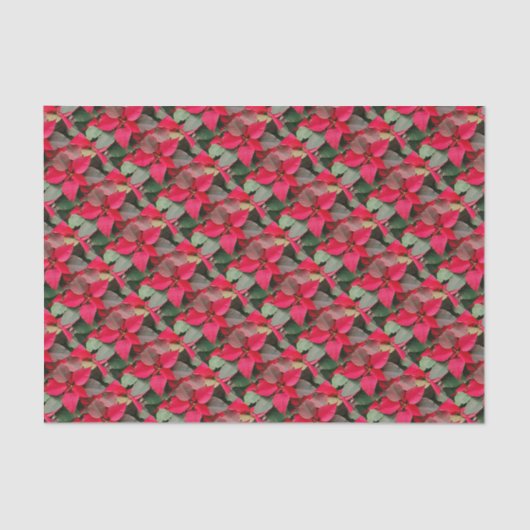 レッドポインセティララッピング紙 薄葉紙 (正面)