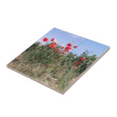 レッドポピーとつる植物 タイル (側面)