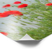 レッドポピースアットザシーフォトプリント フォトプリント            (角)