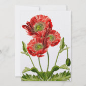 レッドポピーフラワー結婚式招待状 招待状 (裏面)