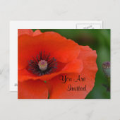 レッドポピー招待状 インビテーションポストカード (正面/裏面)