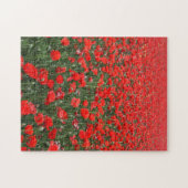 レッドポピー畑 ジグソーパズル (横)