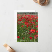 レッドポピー畑 ノートカード (正面/裏面インサイチュ)