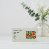 レッドポピー畑 名刺 (スタンド正面)