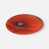 レッドポピー紙プレート ペーパープレート (アングル)