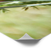 レッドポピー、コテージガーデン写真 ポスター (角)