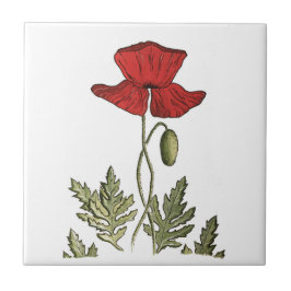 レッドポピー タイル