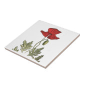 レッドポピー タイル (側面)