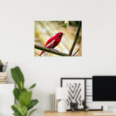 レッドポンパドゥールコティンガ ポスター (ホームオフィス)