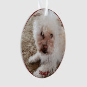 レッドポープリント塗りつぶしハート図形、ペットの引用文、名前 オーナメント (正面)