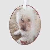 レッドポープリント塗りつぶしハート図形、ペットの引用文、名前 オーナメント (正面)