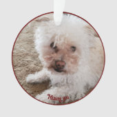 レッドポープリント塗りつぶしハート図形、ペットの引用文、名前 オーナメント (正面)