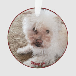 レッドポープリント塗りつぶしハート図形、ペットの引用文、名前 オーナメント