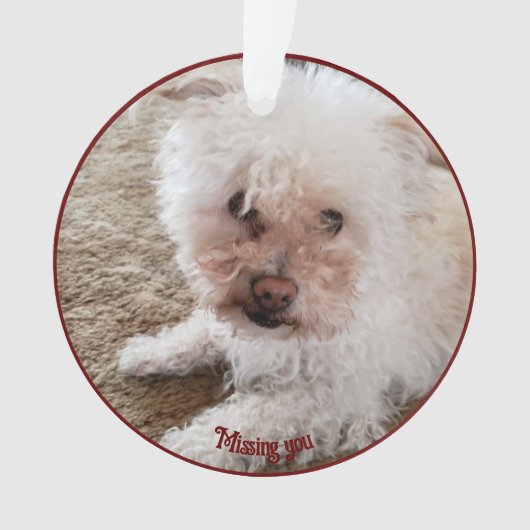 レッドポープリント塗りつぶしハート図形、ペットの引用文、名前 オーナメント (正面)