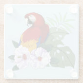 レッドマカオトロピカルバードフローラオウム ガラスコースター (裏面)