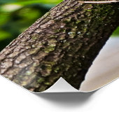 レッドマカオ壁光沢ポスター ポスター (コーナー)