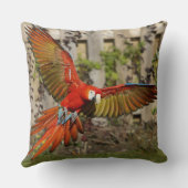 レッドマコー飛んでいる装飾用クッション クッション (裏面)