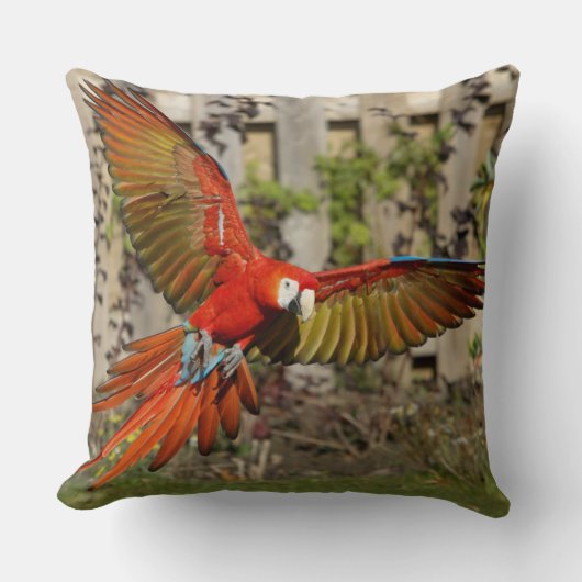 レッドマコー飛んでいる装飾用クッション クッション (正面)