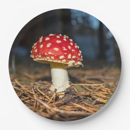 レッドマッシュルーム紙プレート ペーパープレート (正面)