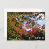 レッドマプルズアットガ日本のーデン ポストカード (正面/裏面)