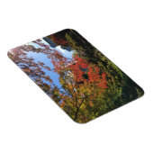 レッドマプルズアットガ日本のーデン マグネット (右側)