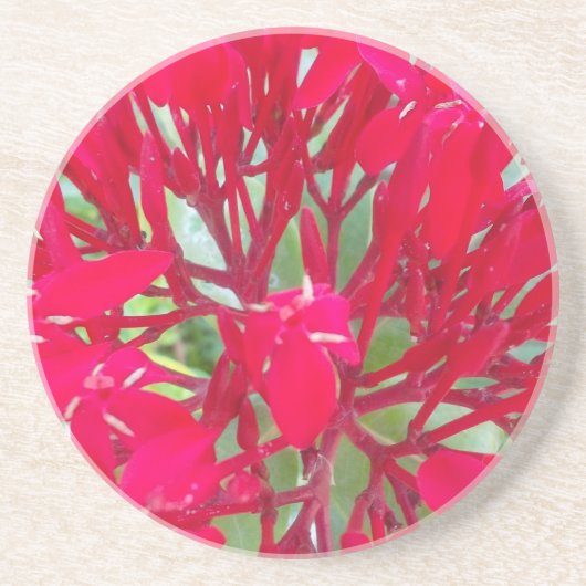 レッドミルクウィードカラフルの美しい万華鏡のように千変万化するパターン コースター (正面)