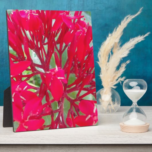 レッドミルクウィードカラフルの美しい万華鏡のように千変万化するパターン フォトプラーク (側面)