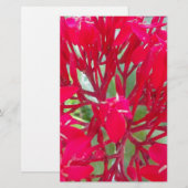 レッドミルクウィードカラフルの美しい万華鏡のように千変万化するパターン 便箋 (正面/裏面)