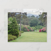 レッドムックロスハウスガーデンズ,アイルランドの花 ポストカード (正面/裏面)