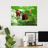 レッドムルベリー ポスター (ホームオフィス)