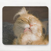 レッドメーヌーンキャットクローズアップ写真 マウスパッド (正面)