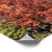 レッドメープルイン秋 ポスター (角)