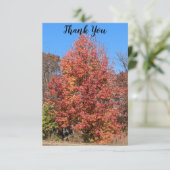 レッドメープルサンキューカード サンキューカード (スタンド正面)