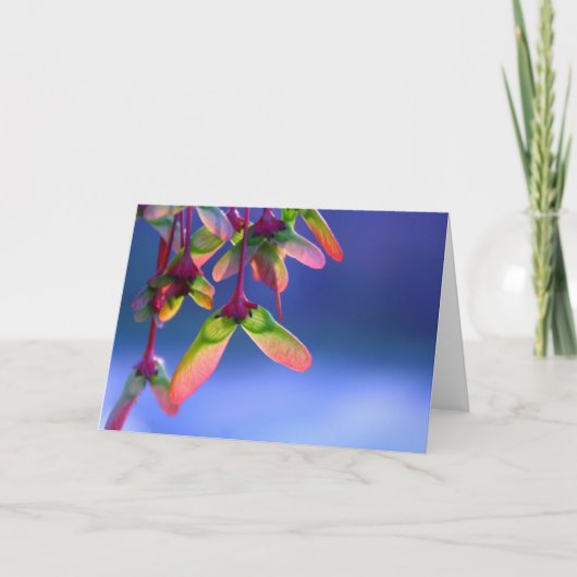 レッドメープルヘリコプター空白のズノートカード カード (正面)