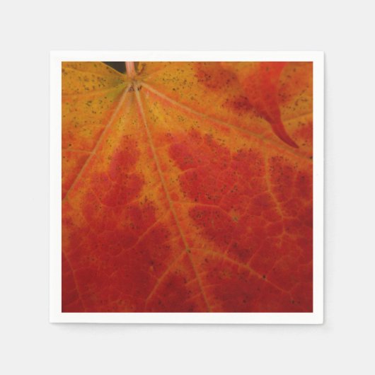 レッドメープルリーフ抽象芸術秋自然撮影 スタンダードカクテルナプキン (正面)