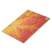 レッドメープルリーフ抽象芸術秋自然撮影 ノートパッド (アングル)