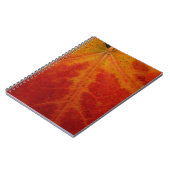 レッドメープルリーフ抽象芸術秋自然撮影 ノートブック (左側)