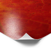 レッドメープルリーフ抽象芸術秋自然撮影 フォトプリント (角)