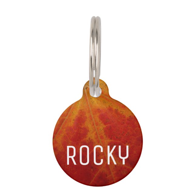 レッドメープルリーフ抽象芸術秋自然撮影 ペット　ネームタグ (正面)