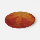 レッドメープルリーフ抽象芸術秋自然撮影 ペーパープレート (アングル)