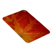 レッドメープルリーフ抽象芸術秋自然撮影 マグネット (右側)