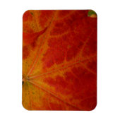 レッドメープルリーフ抽象芸術秋自然撮影 マグネット (縦)