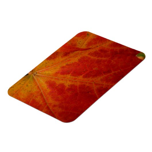 レッドメープルリーフ抽象芸術秋自然撮影 マグネット (左側)