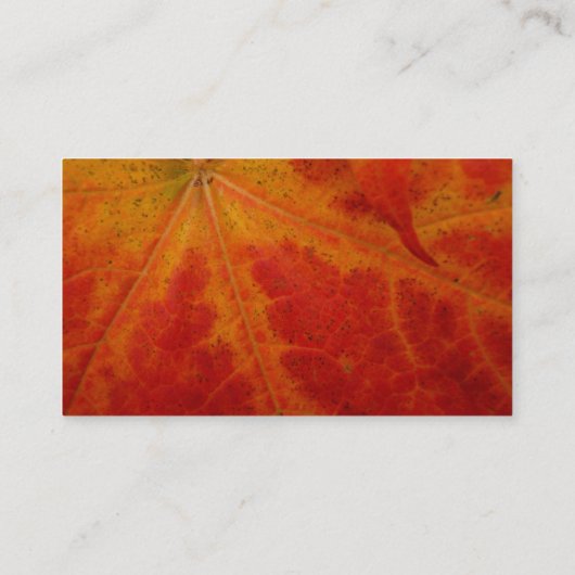 レッドメープルリーフ抽象芸術秋自然撮影 名刺 (裏面)
