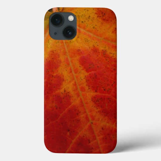 レッドメープルリーフ抽象芸術秋自然撮影 Case-Mate iPhoneケース (裏面)