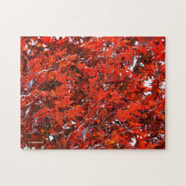 レッドメープル葉ズ ジグソーパズル