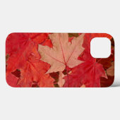 レッドメープル葉ズ Case-Mate iPhoneケース (裏面 (横))