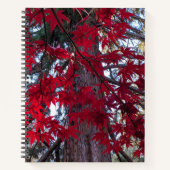 レッドメープル離れズとジャイアントセコイア ノートブック (正面)